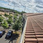 Dépigeonnage par des pics anti-volatiles et nettoyage